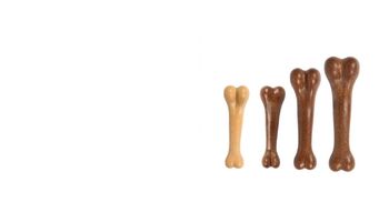 ÇİĞNEME KEMİKLERİ